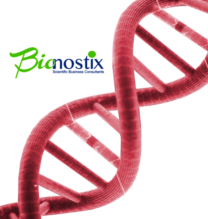 Exploring Bionostix's Dynamic Digital Presence