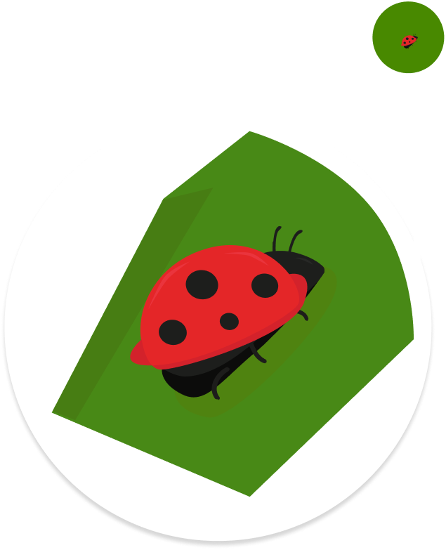 Bug