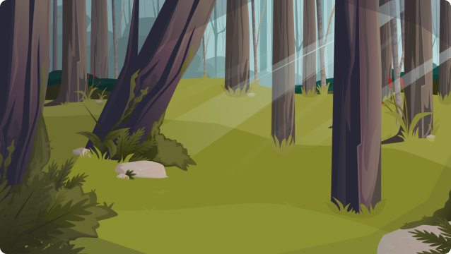 story boards